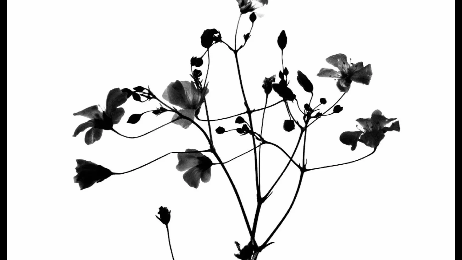 Cover image for LLM markdown wiki: a personal second brain without the maintenance